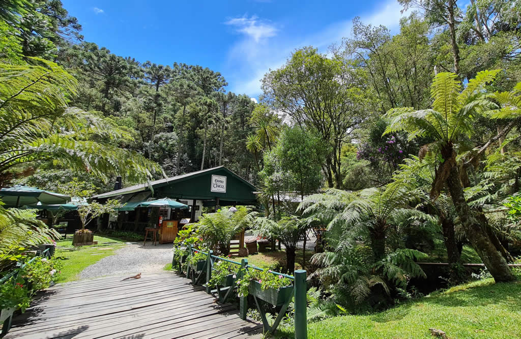 Entrada do restaurante Dona Chica, com passarela de madeira, samambaias e mata nativa de Campos do Jordão